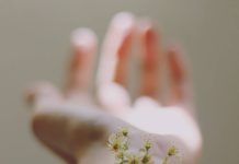 How to recognize vegan cosmetics? How to recognize vegan cosmetics