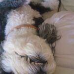 Top Health and Fitness Picks for 12.19