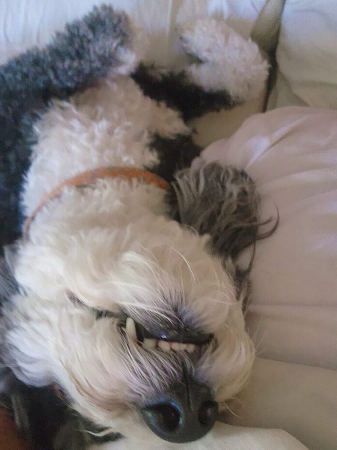 Top Health and Fitness Picks for 12 Top Health and Fitness Picks for 12.19