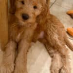 Top 9 Must-Read Health and Fitness Articles for Your Friday