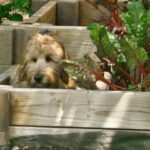 Friday Fitness Faves: Top Picks to Power Up Your Weekend