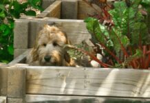 Friday Fitness Faves: Top Picks to Power Up Your Weekend Friday Fitness Faves: Top Picks to Power Up Your Weekend