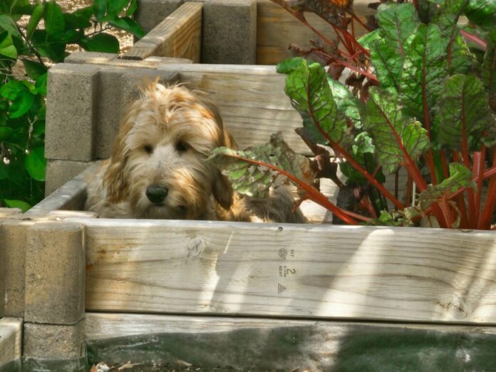 Friday Fitness Faves: Top Picks to Power Up Your Weekend