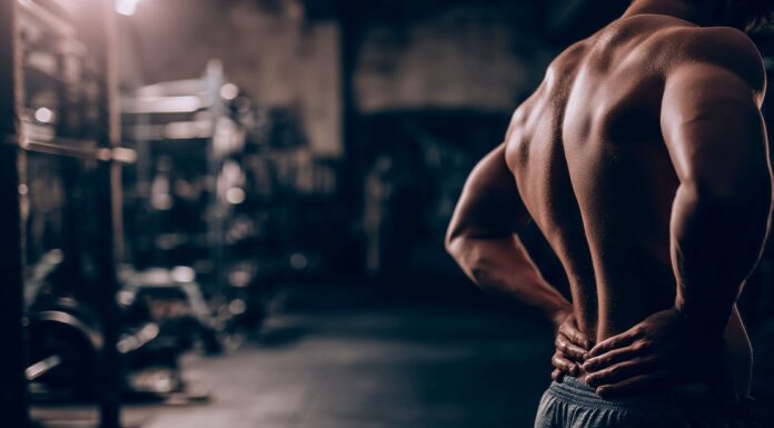 Debunking Lower Back Strength Training Myths: The Top Exercises and Tips for Creating a Strong Spine